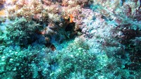 img_0036.jpg